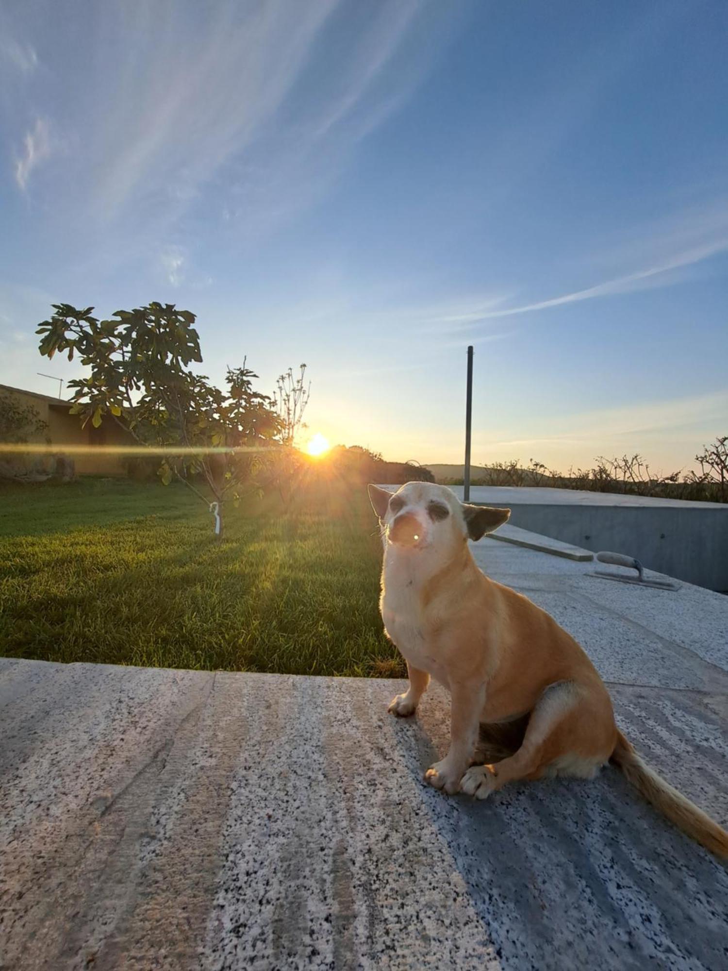 Agriturismo Lu Nodu Greuli 외부 사진