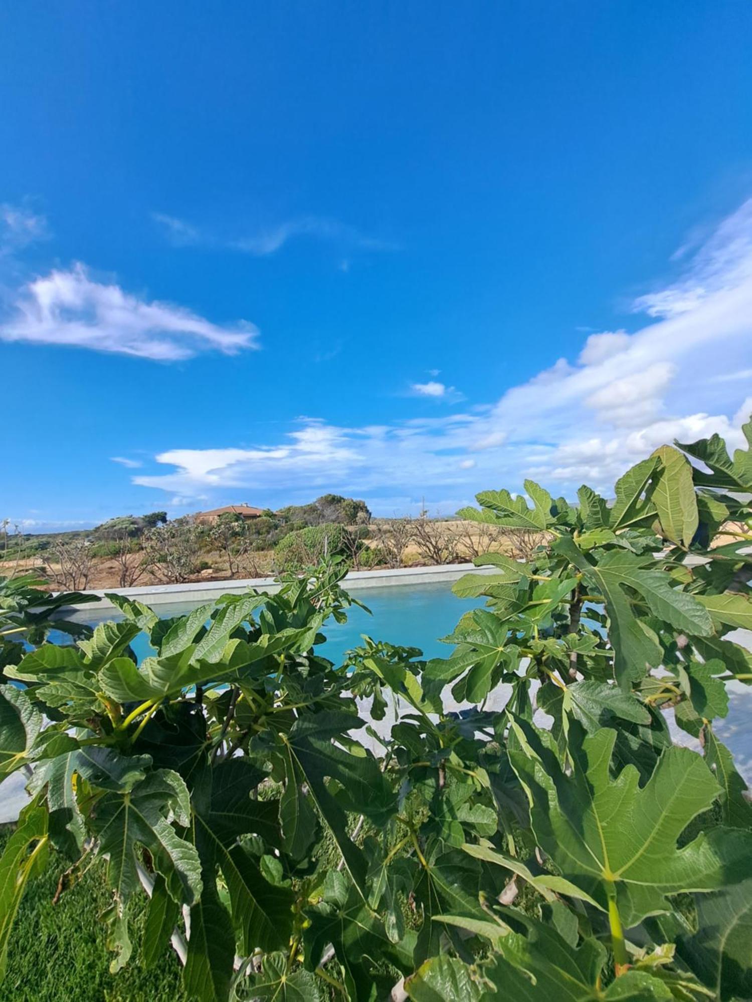 Agriturismo Lu Nodu Greuli 외부 사진