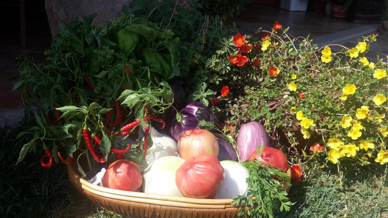 Agriturismo Lu Nodu Greuli 외부 사진