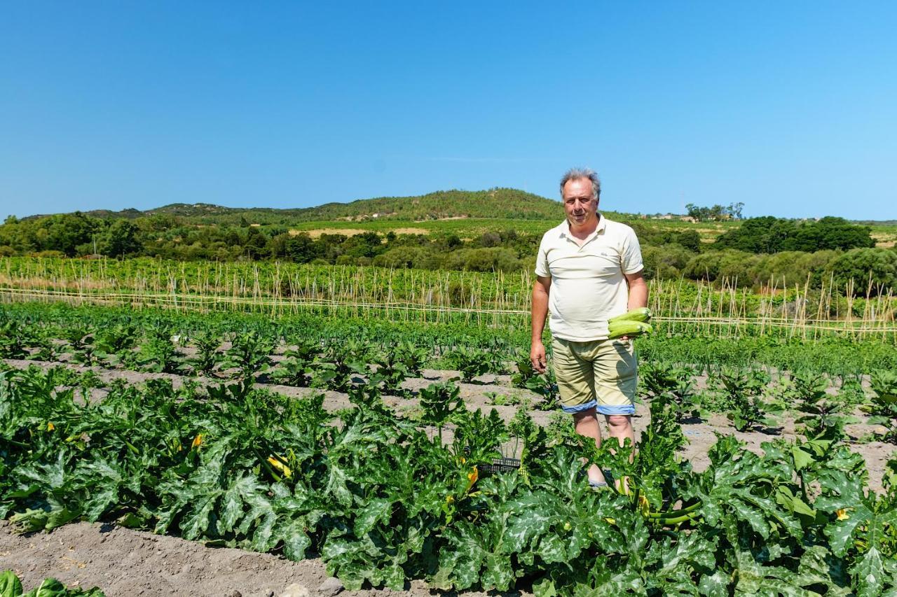 Greuli Agriturismo Lu Nodu 빌라 외부 사진